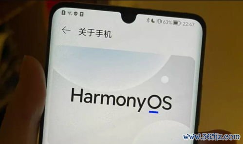 欧易怎么下载安卓版_欧瑞莲易莲网电脑版下载